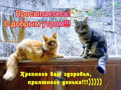 С добрым утром открытки прикольные для поднятия настроения